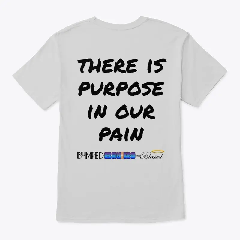 BBB Purpose In Pain